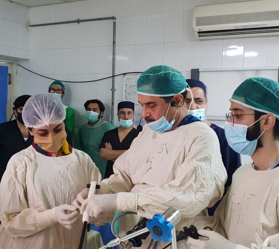 Laparoscopic instrument set
